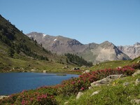 Lac de l'Oule, Névache vallée de la Clarée - © Agnès Baudoux