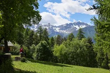 La clairière du Lauzin_Villar-Saint-Pancrace - © S.Morattel
