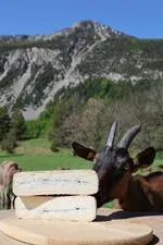 Plampinet goat farm_Névache - © L.Chamerlat