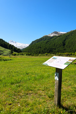 Sentier d'interprétation du marais du Bourget_Cervières - © S.MOrattel