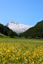 Sentier d'interprétation du marais du Bourget_Cervières - © S.MOrattel