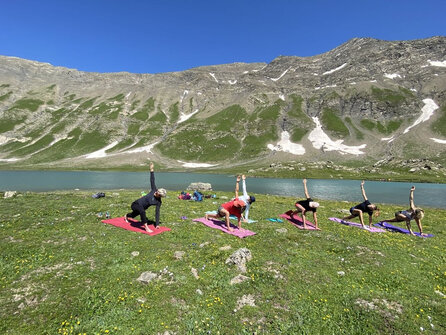 Stage plantes et pilates au Refuge du Pic du Mas de La Grave