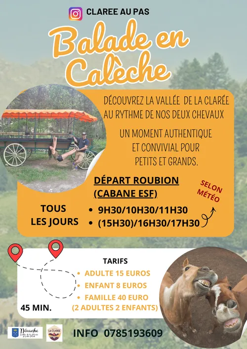 Balade en calèche