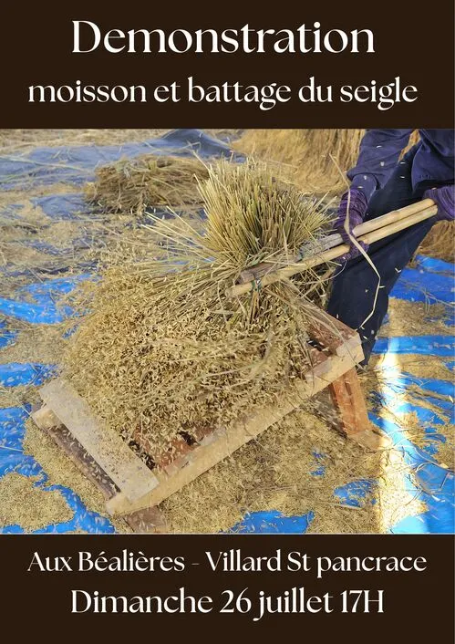 Démonstration moisson et battage du seigle