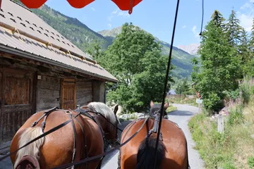 Découvrez le village de Névache avec la balade commentée en caleche - © L.Chamerlat