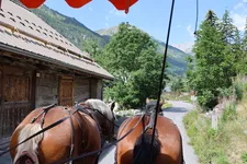 Découvrez le village de Névache avec la balade commentée en caleche - © L.Chamerlat