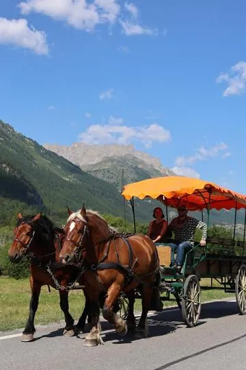 Marie, Reed et leurs trois chevaux vous emmènent pour une balade en calèche dans la vallée de la Clarée - © L.Chamerlat