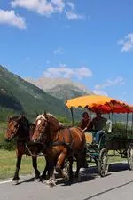 Marie, Reed et leurs trois chevaux vous emmènent pour une balade en calèche dans la vallée de la Clarée - © L.Chamerlat