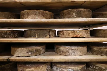 Les fromages à raclette affinent dans la ferme de Champs Longs - © L.Chamerlat