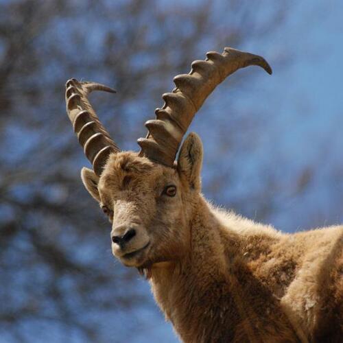 Ecrins National Park