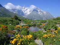 Jardin Botanique Alpin - © @OTlaMeije