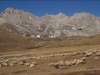 Prairies du Lautaret - © @S.Aubert_SAJF
