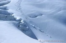 Grand espace vierge de poudreuse sur le Glacier - © ©B.Boone