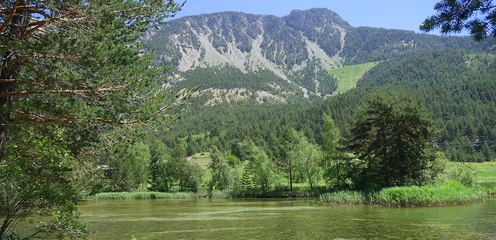 Camping Municipal Le Bois des Alberts - © Camping Municipal ** Le Bois des Alberts