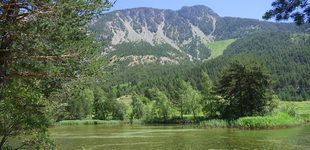 Camping Municipal Le Bois des Alberts - © Camping Municipal ** Le Bois des Alberts