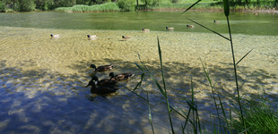 Camping Municipal Le Bois des Alberts - © Camping Municipal ** Le Bois des Alberts