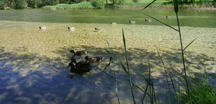 Camping Municipal ** Le Bois des Alberts - © Camping Municipal ** Le Bois des Alberts