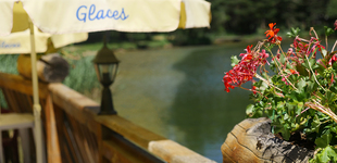 Camping Municipal Le Bois des Alberts - © Camping Municipal ** Le Bois des Alberts