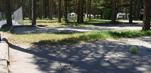 Camping Municipal Le Bois des Alberts - © Camping Municipal ** Le Bois des Alberts