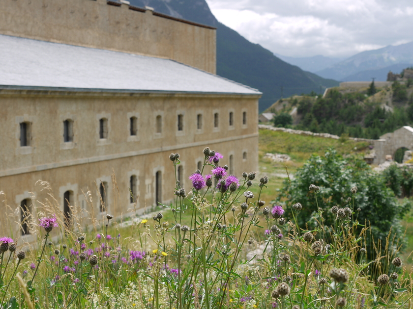 Porte d'entrée - © Service du Patrimoine Ville de Briançon