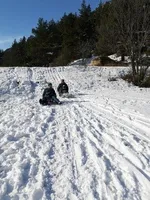 Pista da slittino La Vachette