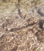 Société de pêche - © ©FGuffroy