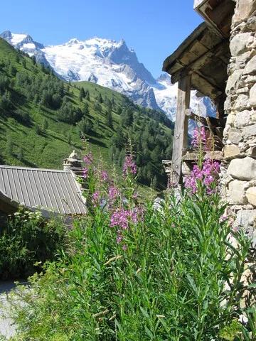La Meije vu de Valfroide - © © J. Selberg