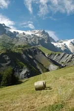 Fenaison sous La Meije - © © J. Selberg