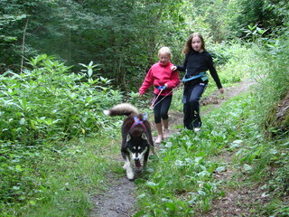 La Cani-rando - Cani da slitta Allirand - © nanook