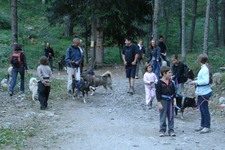 La Cani-rando - Cani da slitta Allirand - © nanook