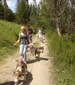La Cani-rando - Cani da slitta Allirand - © Nanook