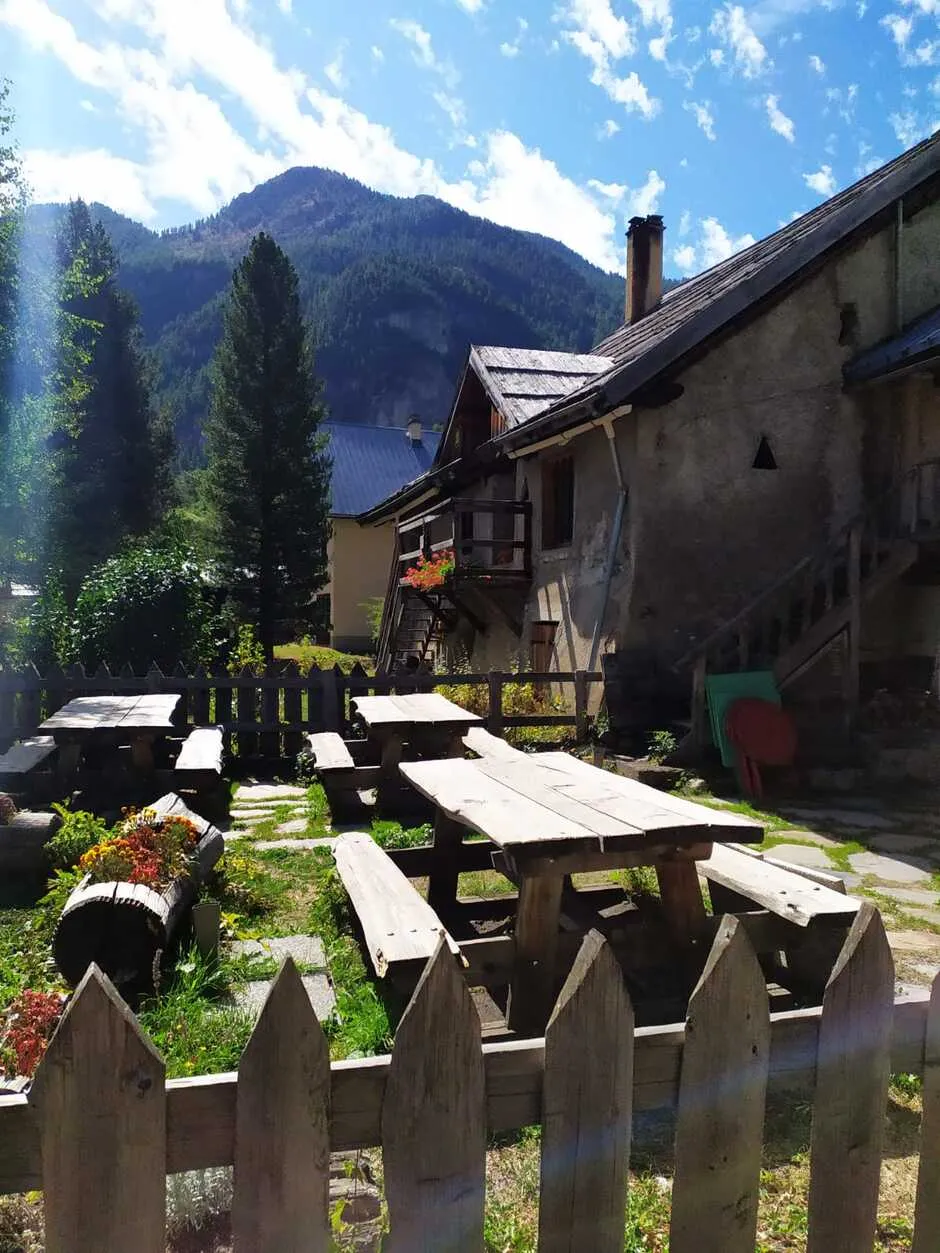 chevalier barbu brasserie sentier - © FGuffroy