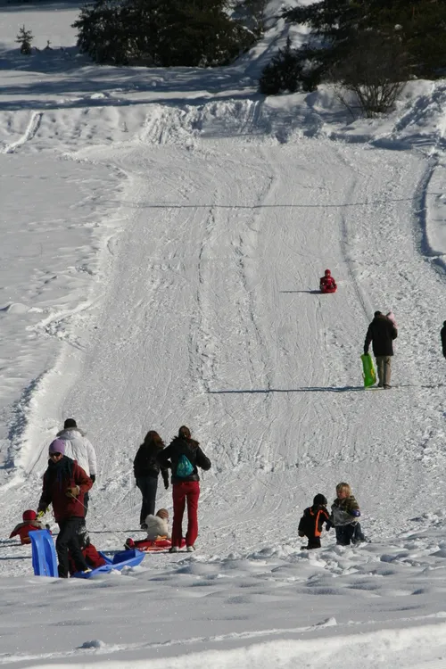 Pista da slittino Alberts