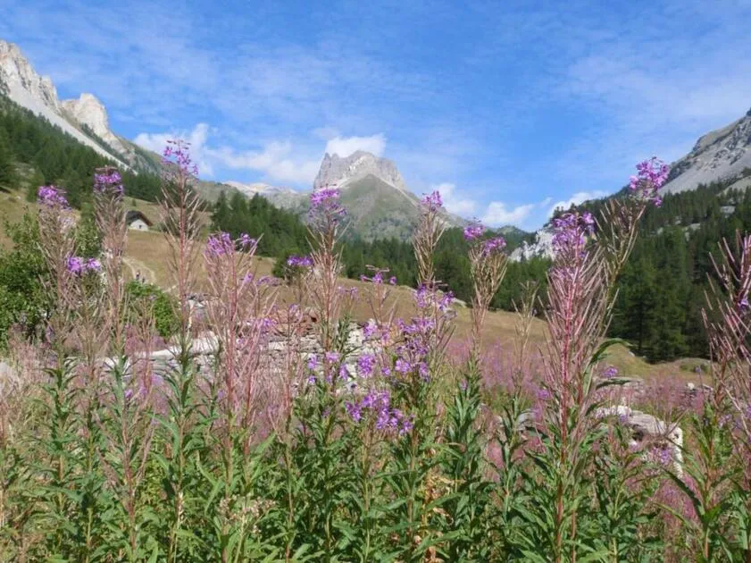 Patrimoine Naturel des Hautes Alpes - © OTHV
