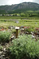 Ethnobotanical trail - edible plants - © OT Hautes Vallées