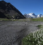 Sandur au Goleon : dépôt formé par des alluvions fluvio- glaciaires charriées et - © @Natura2000