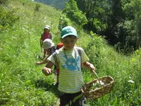 Nature Workshops for 3 - 6 years with Odile, hiking guide - © @O.MartinCocher