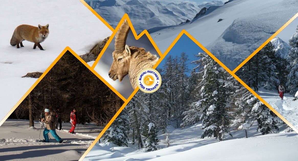 Randos hivernales - Bureau Montagne - Visa Trekking - © DR/Bureau Montagne Visa Trekking