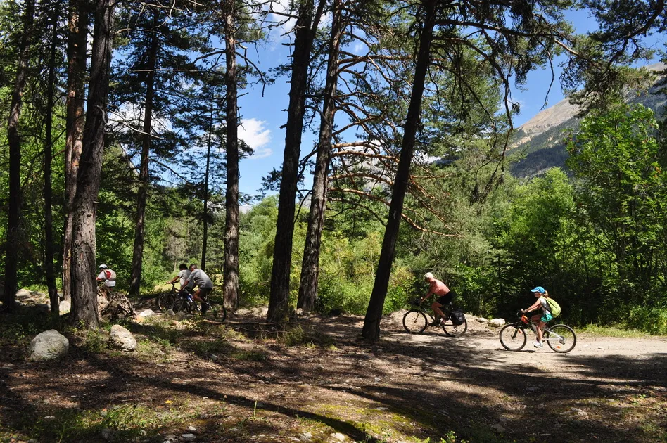 Balade en VTT dans les bois - © Service Tourisme de Val des Prés