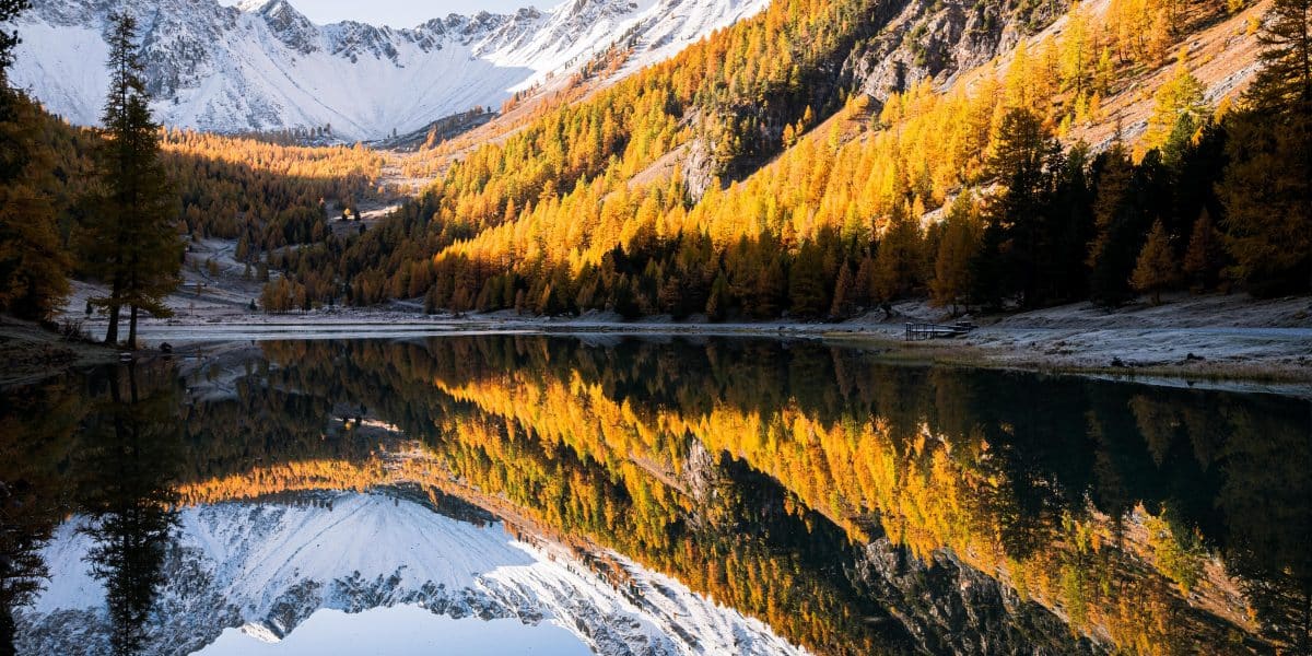 saison dorée au lac de l'orceyrette