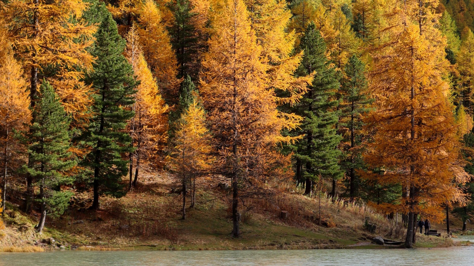 Lac de l'Orceyrette randonnée