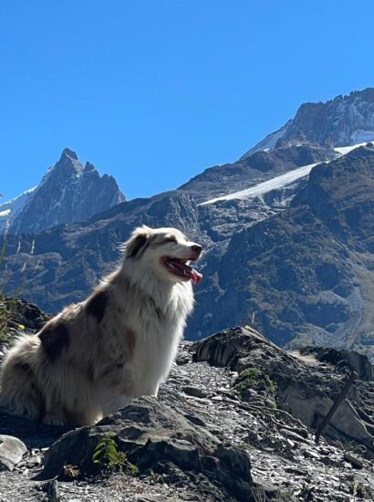 Dog walk C. Jouffrey