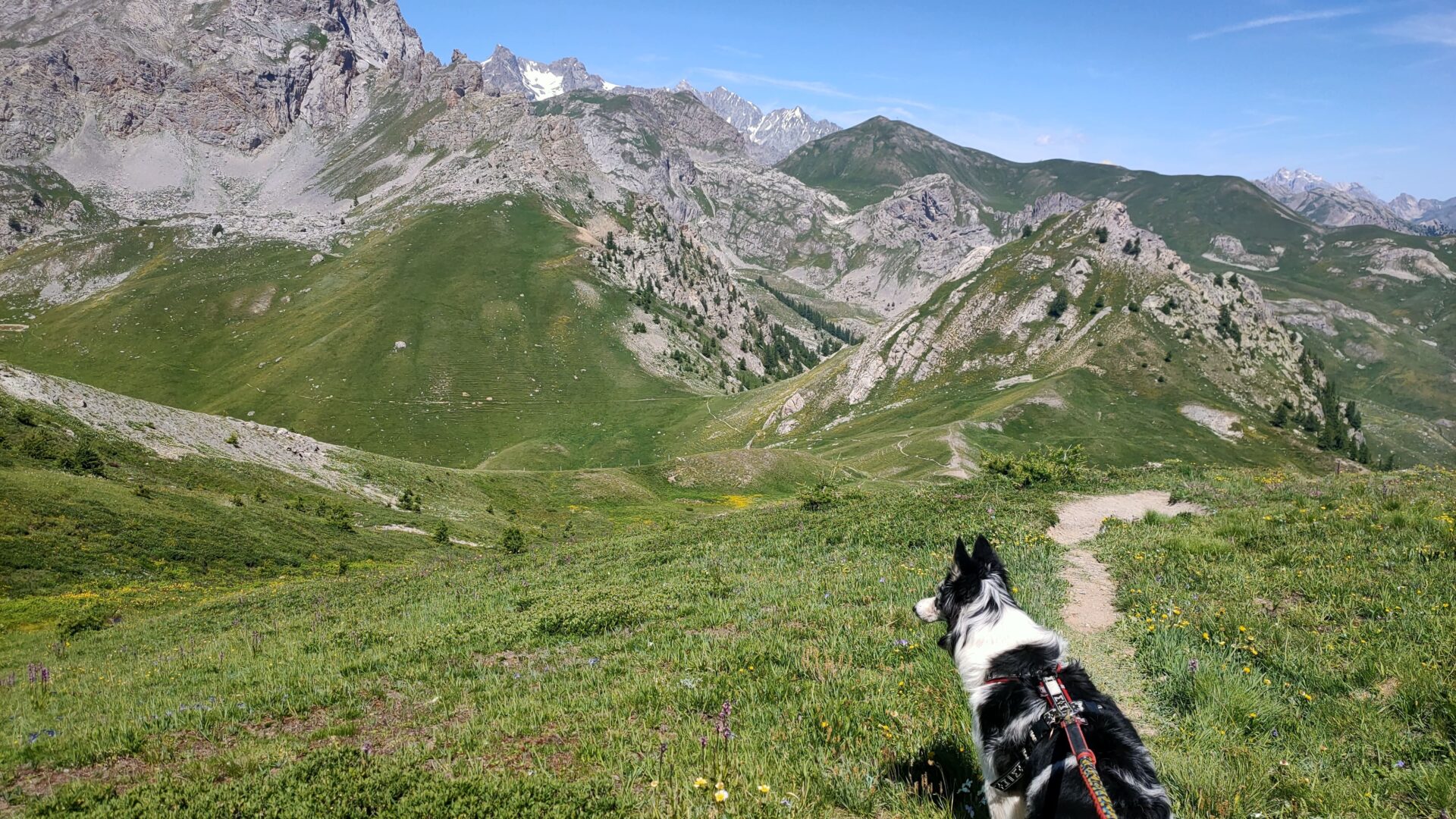 Randonnée avec son chien - Croix d'Aquila (Izoard)