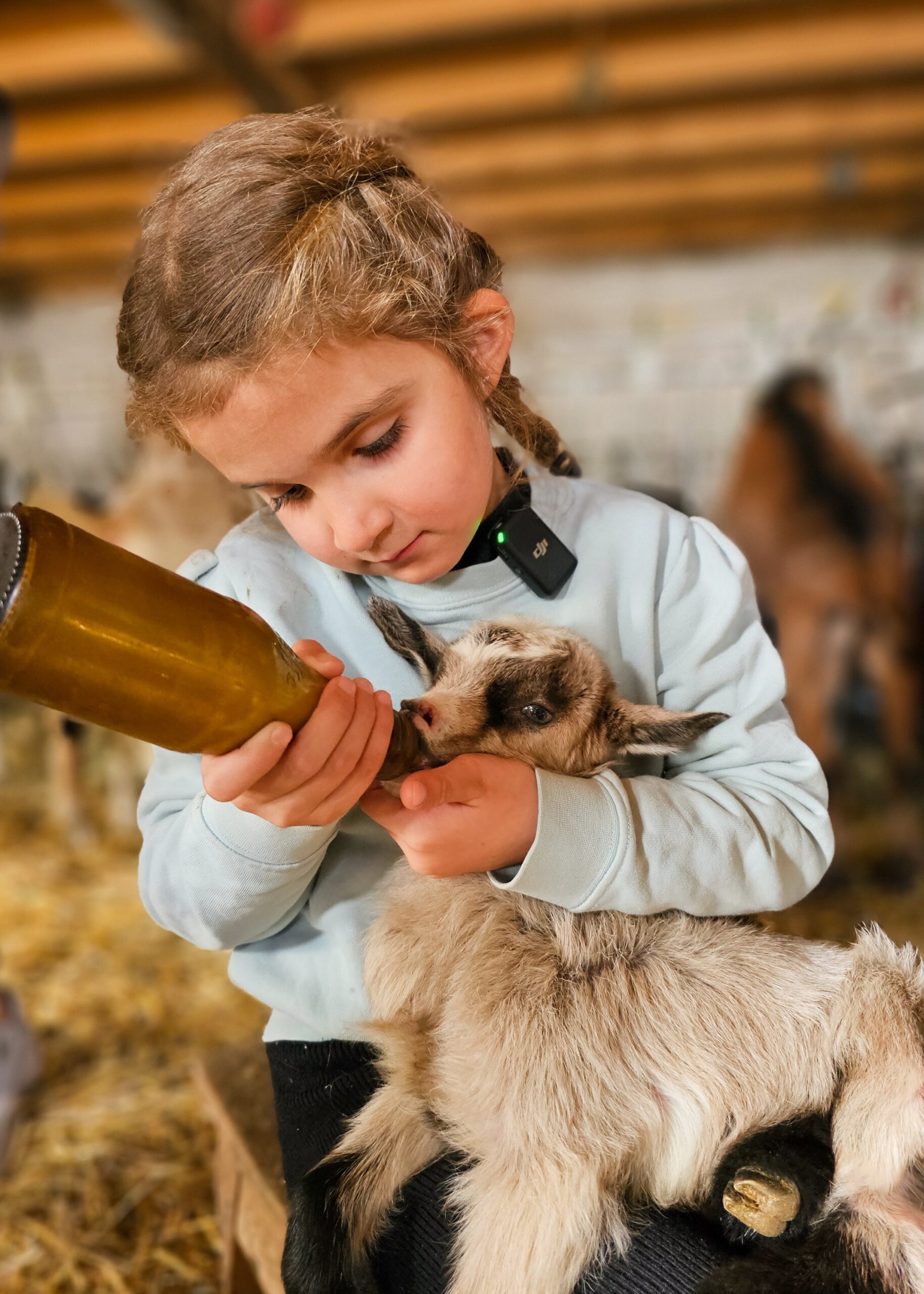 Ferme du lasseron - chevreaux - Cervières - ©S.MORATTEL (5)