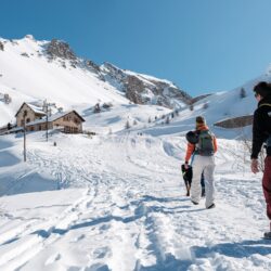 Luge col de l'Izoard, hiver - T.Poinas (7)