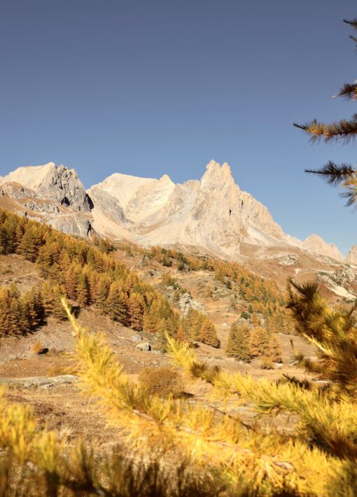 Boucle des Drayères en haute vallée, en automne © L.Fine (4)