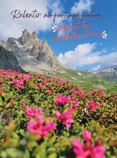 accompagnement presse img illustration © OTHV