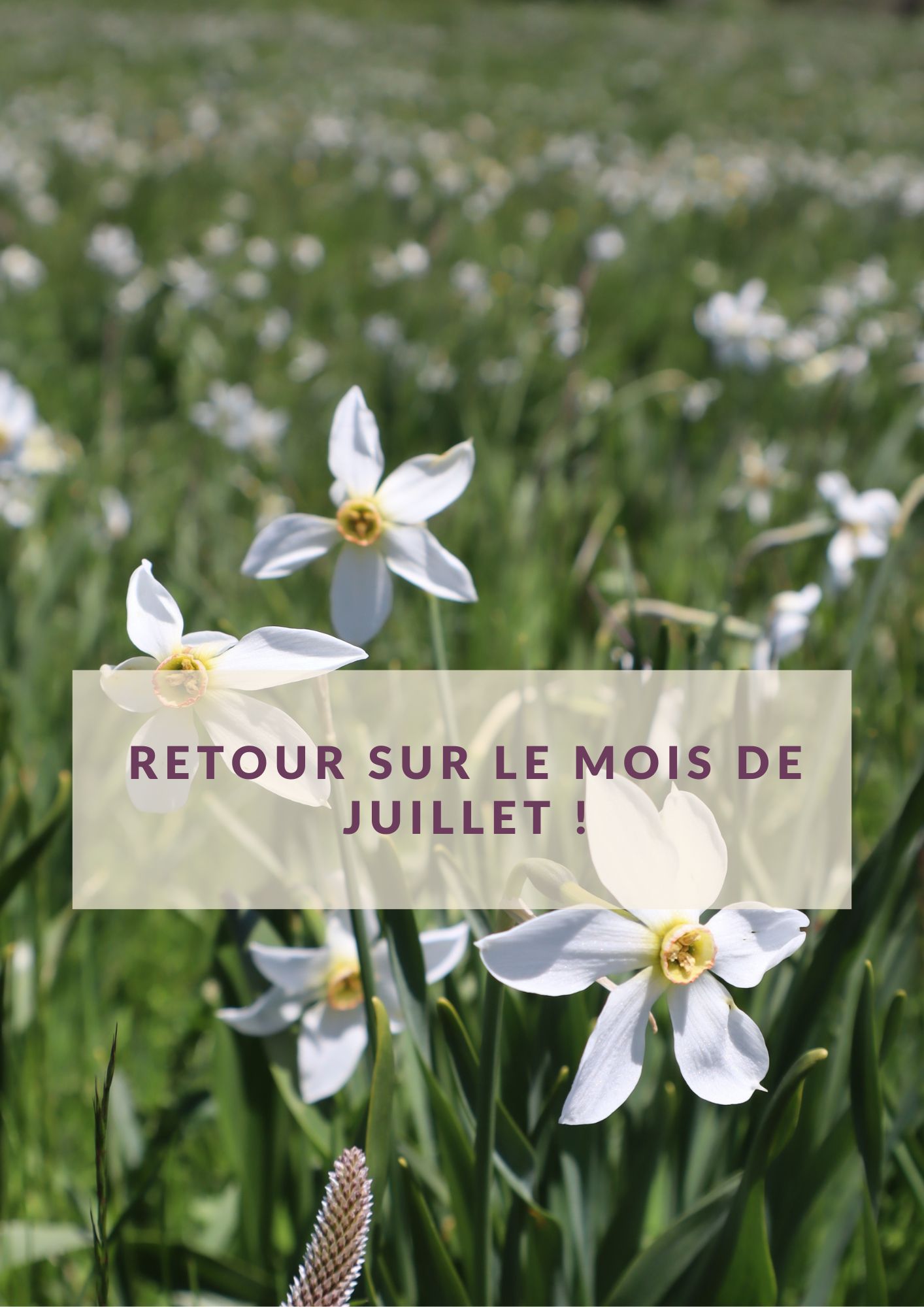RETOUR SUR LE MOIS NL PRO (1)