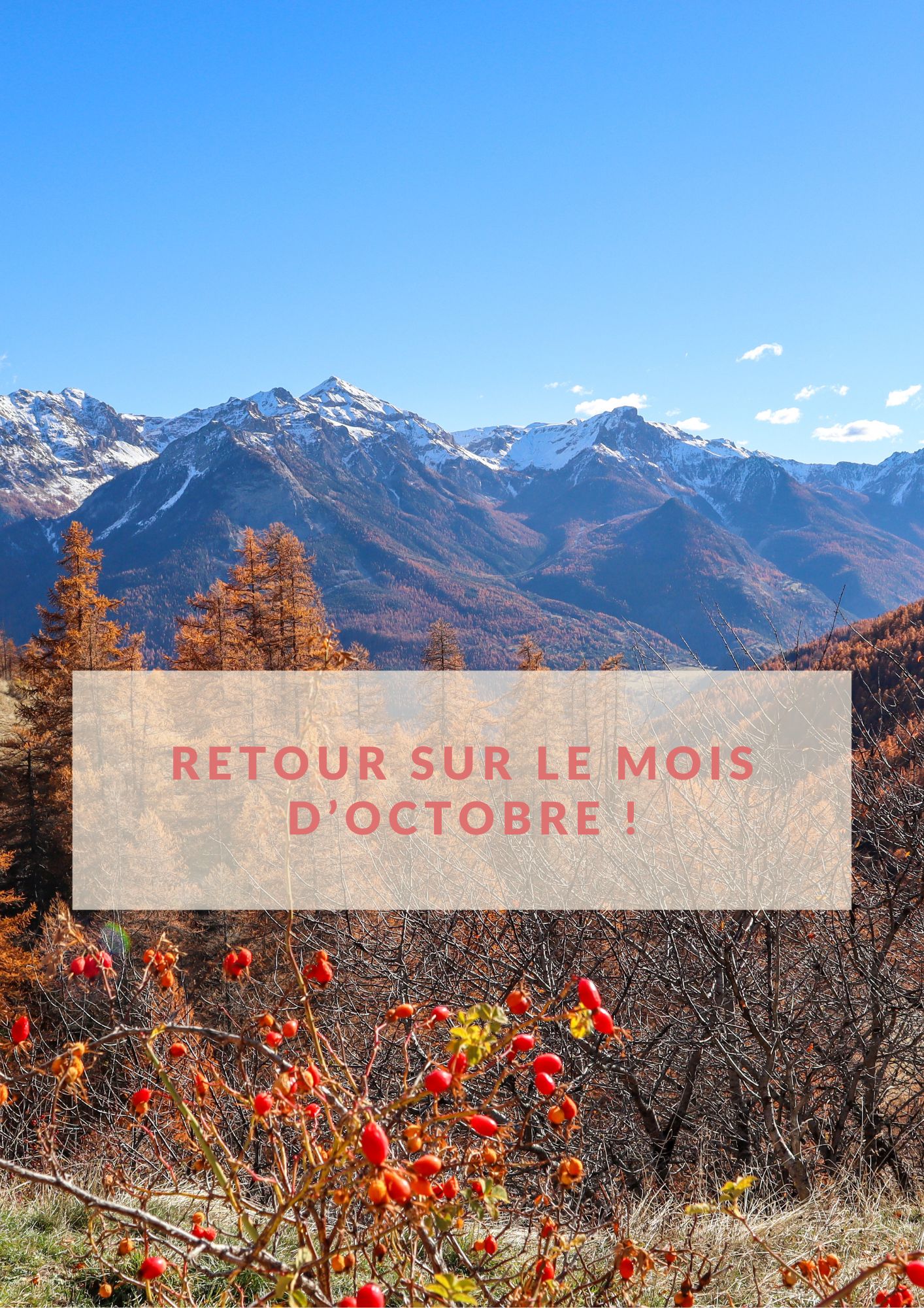 RETOUR SUR LE MOIS NL PRO (3)