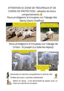 Le trombinoscope des chiens du secteur Granon